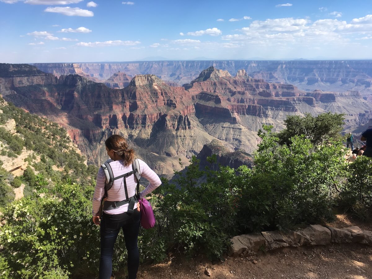 image of a woman taking in the view from Fredonia to Grand Canyon North Rim
